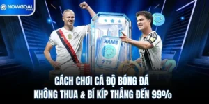 Cách Chơi Cá Độ Bóng Đá Không Thua & Bí Kíp Thắng Đến 99%